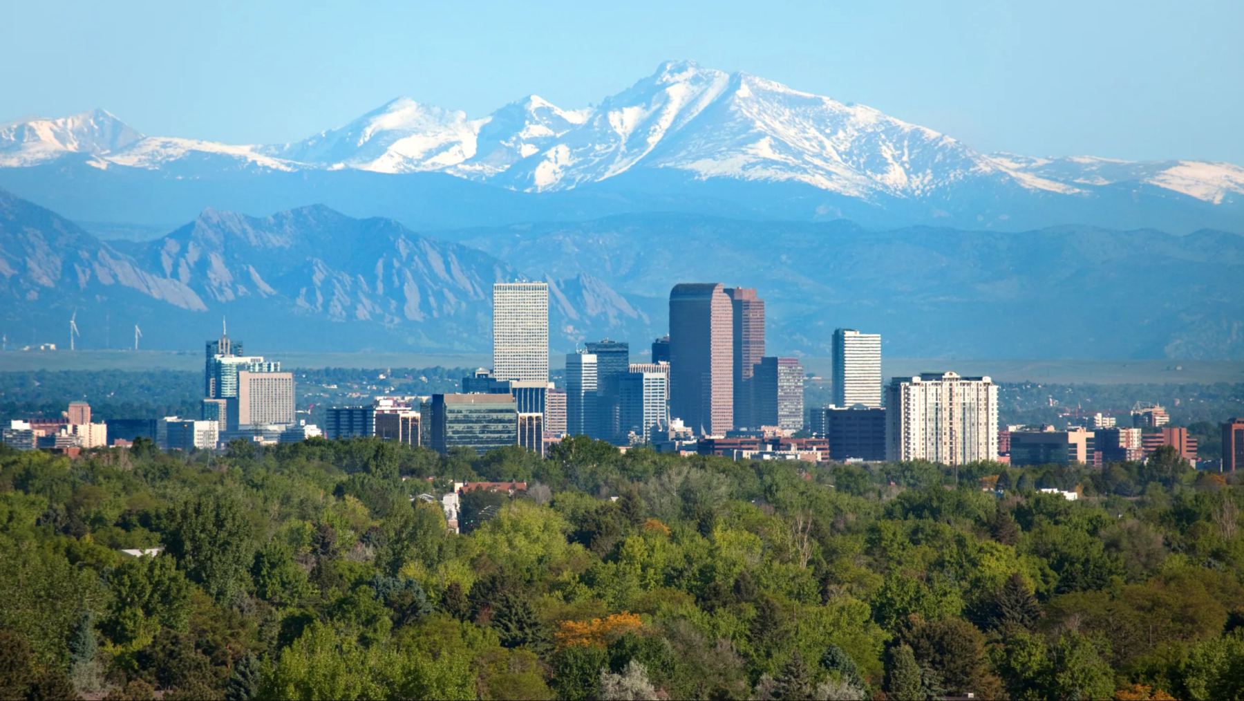Downtown Denver skyline rising above green treetops with snowcapped Rocky Mountains in the background.