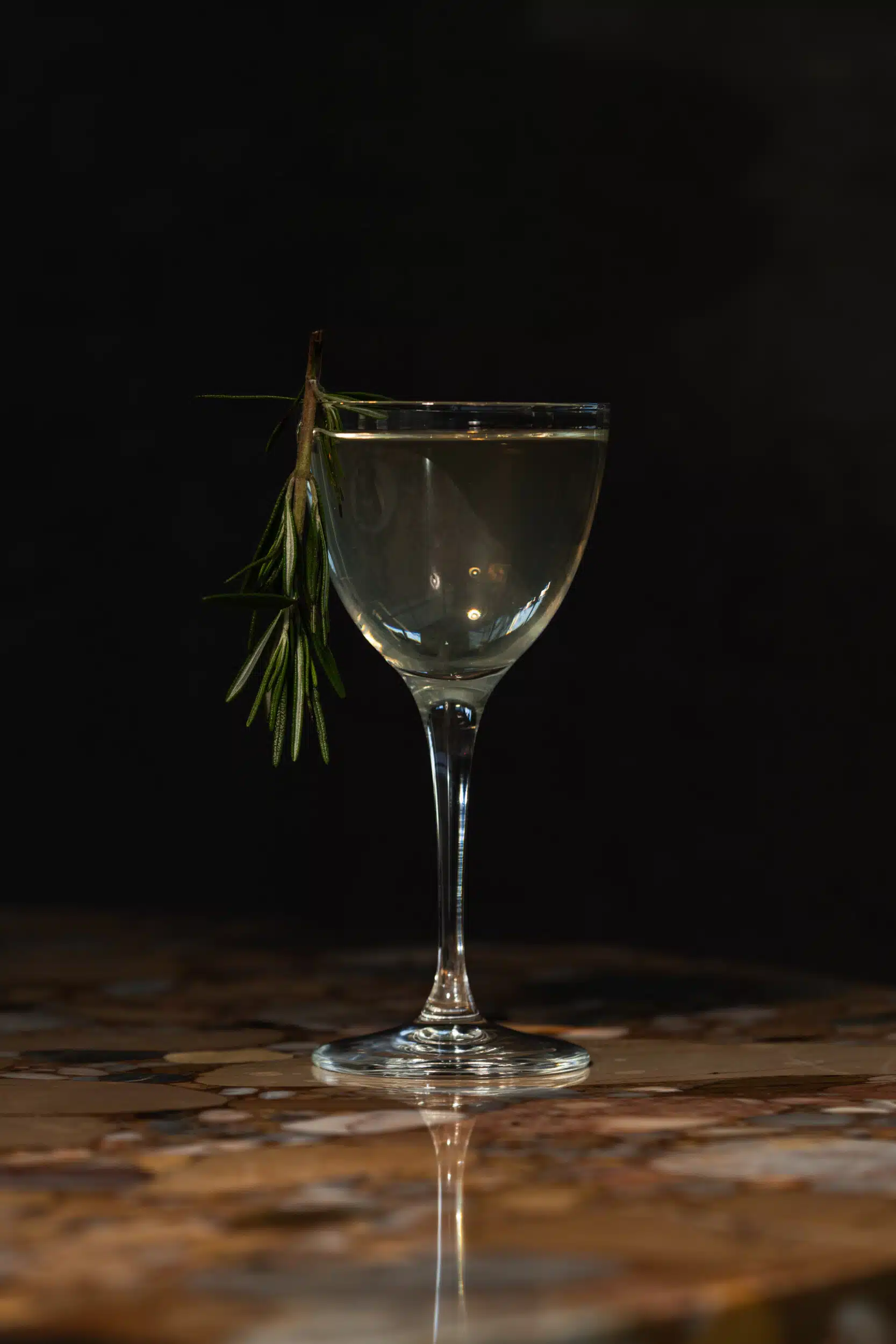 A clear cocktail with a sprig of rosemary