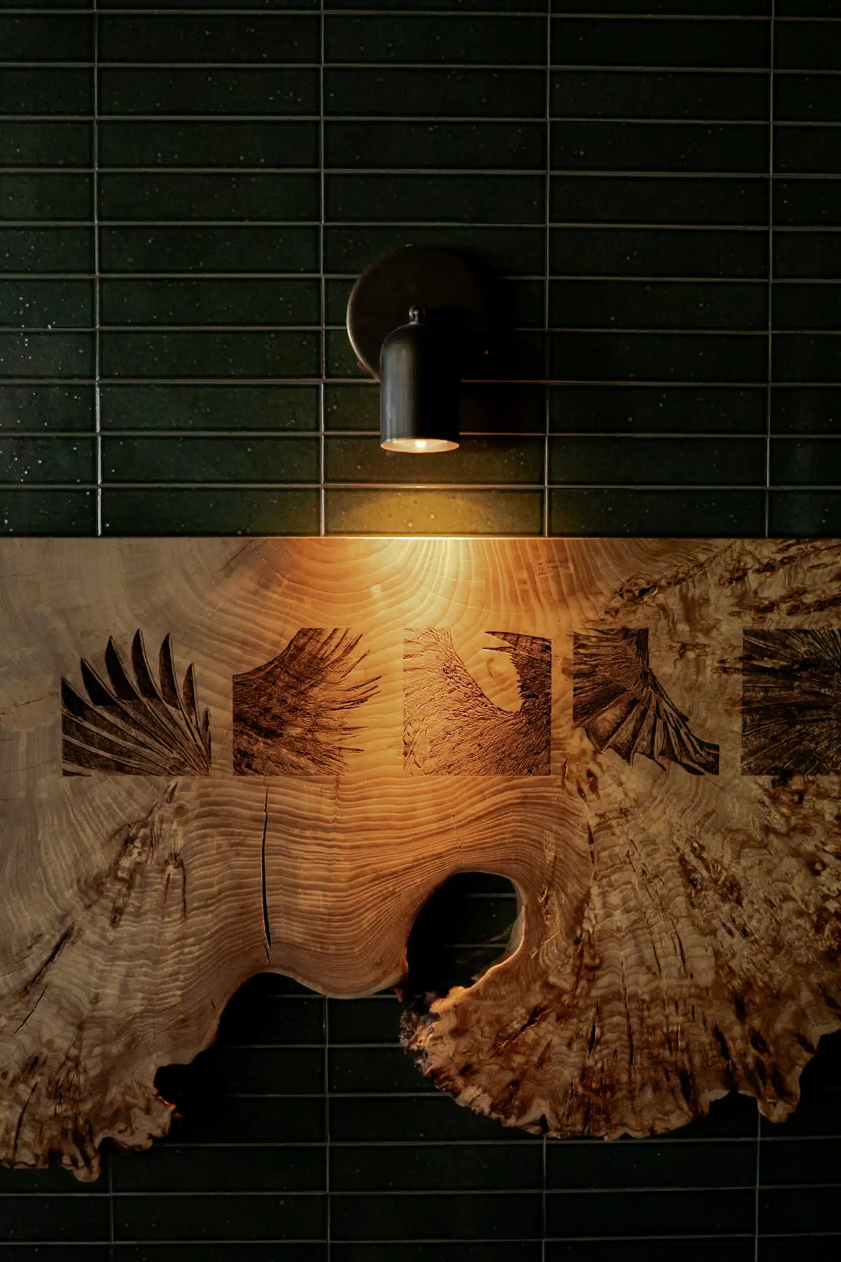 Live-edge burl wood panel engraved with feather-like, Stellar Jay-branded motifs, lit by a brass spotlight against dark green tile.